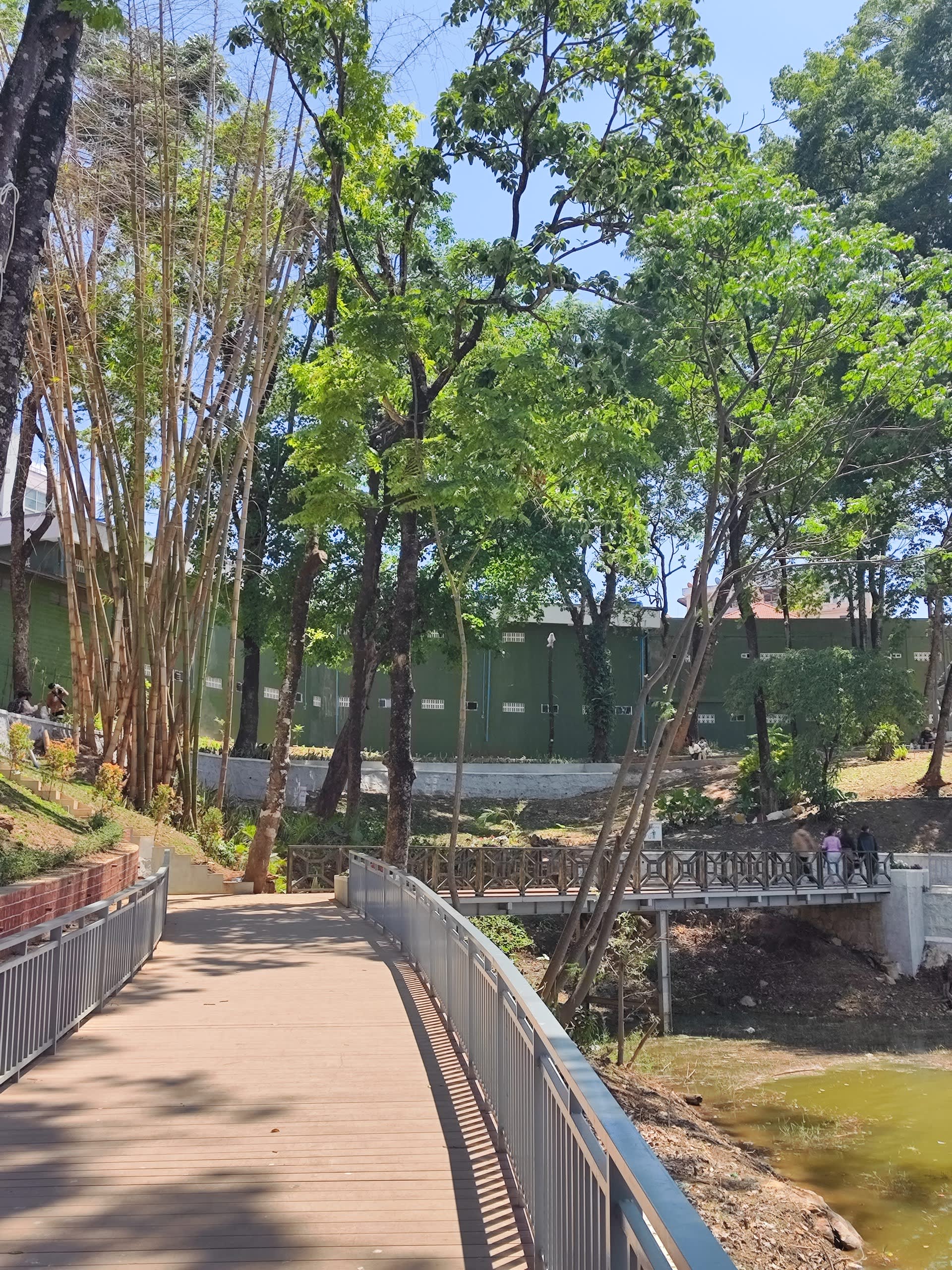 Wooden boardwalk through the garden park