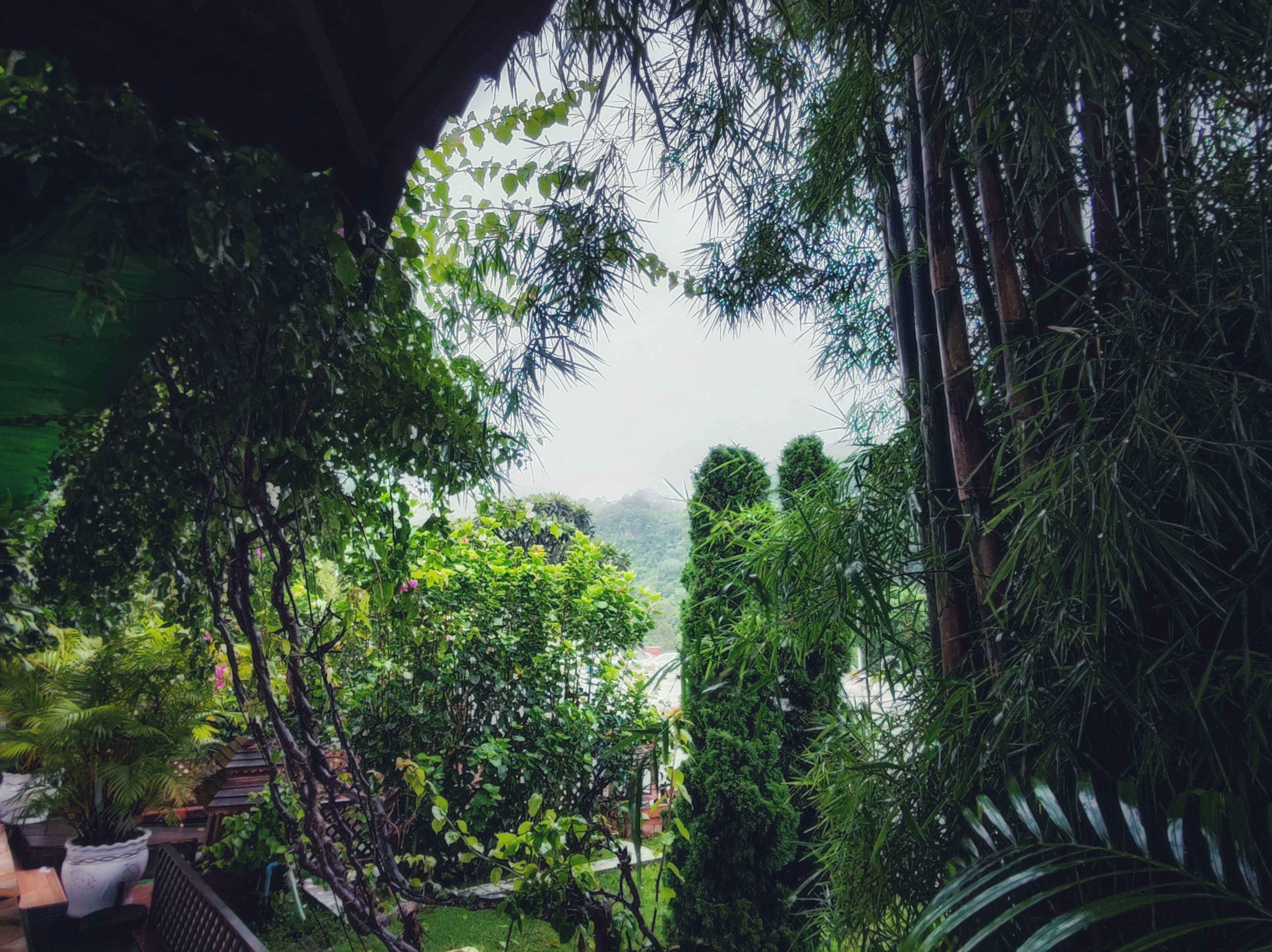 rainy_scene_at_sulamuni