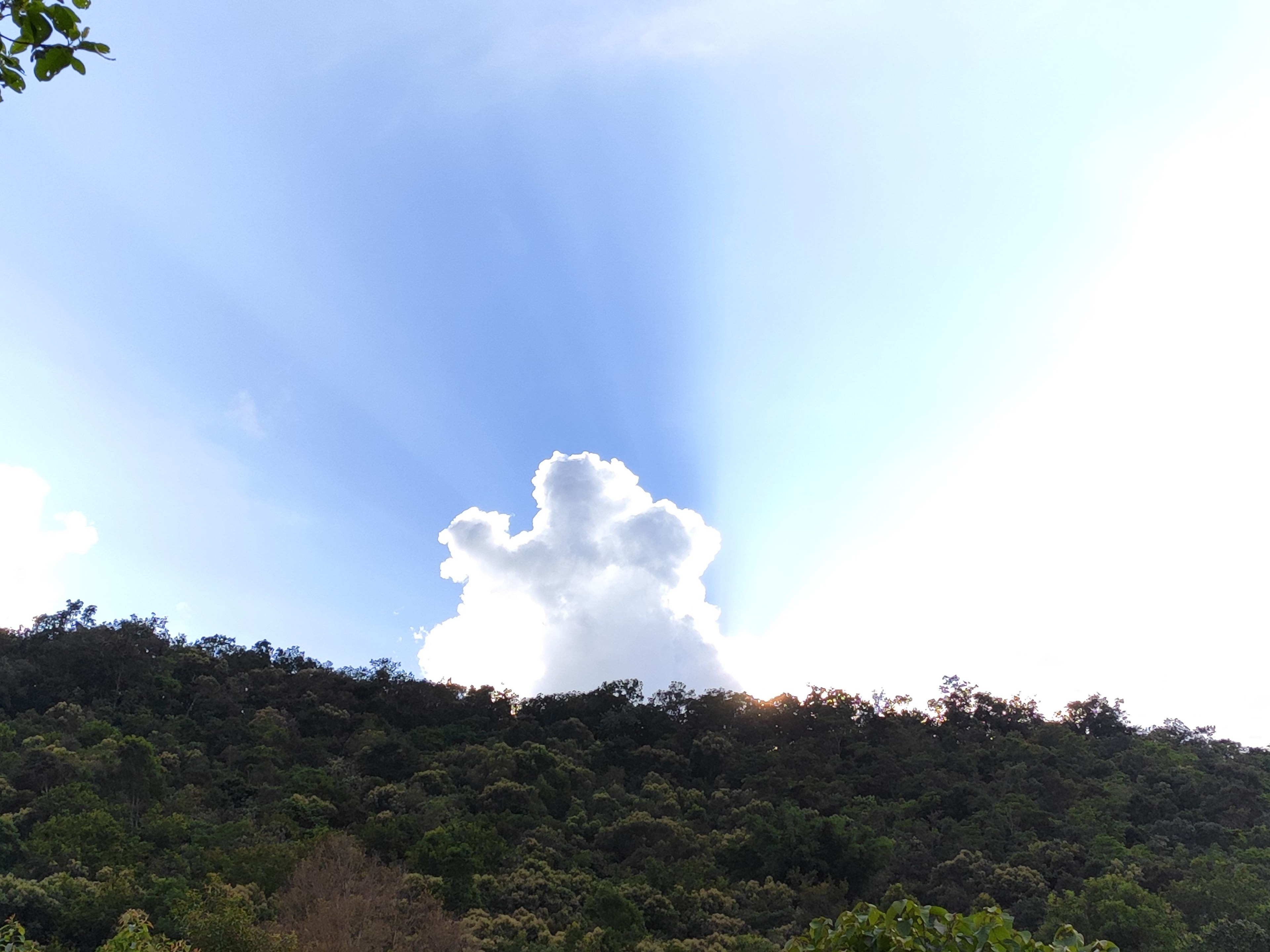 the_light_rays