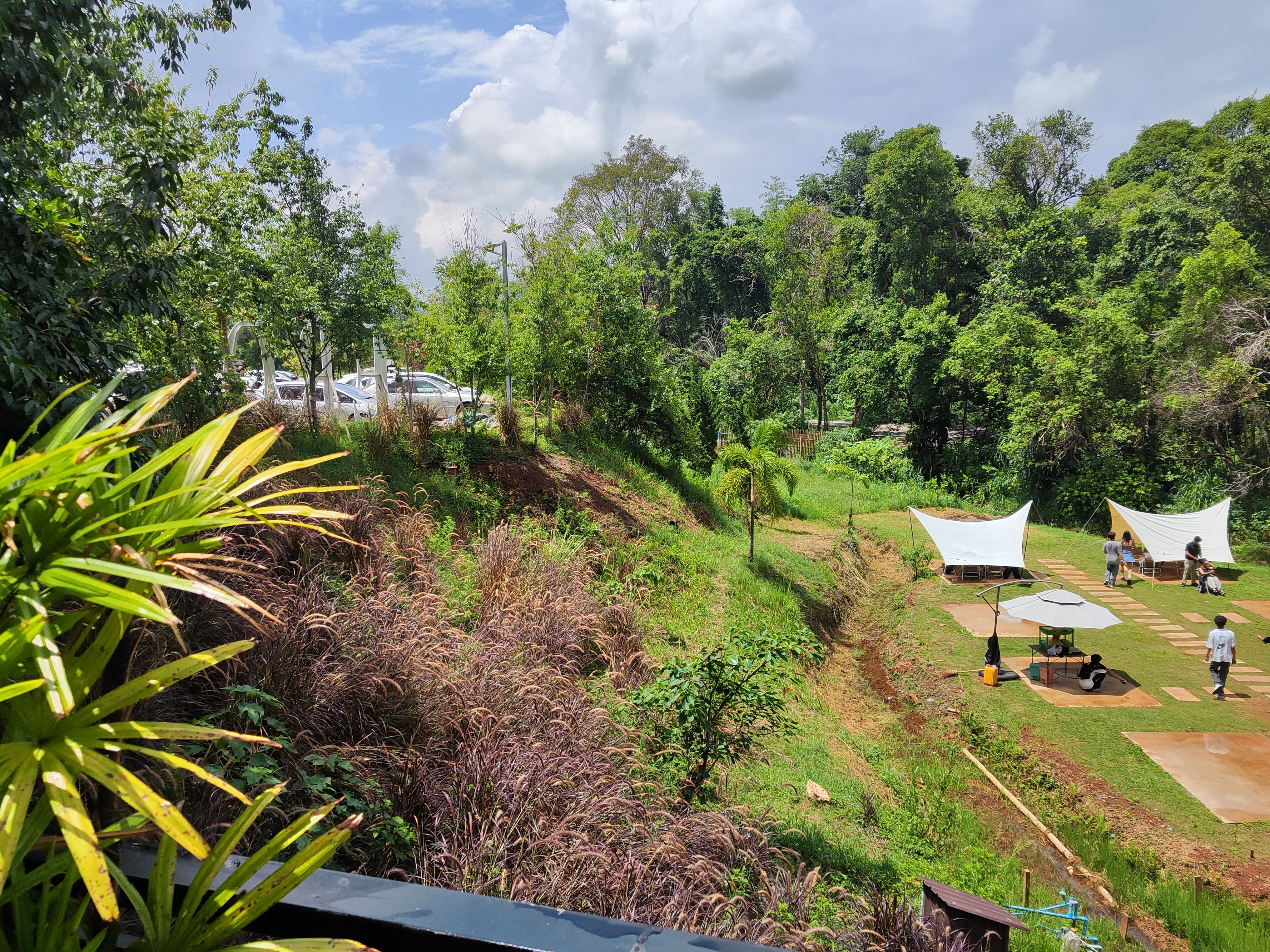Hillside outdoor cafe with white tents