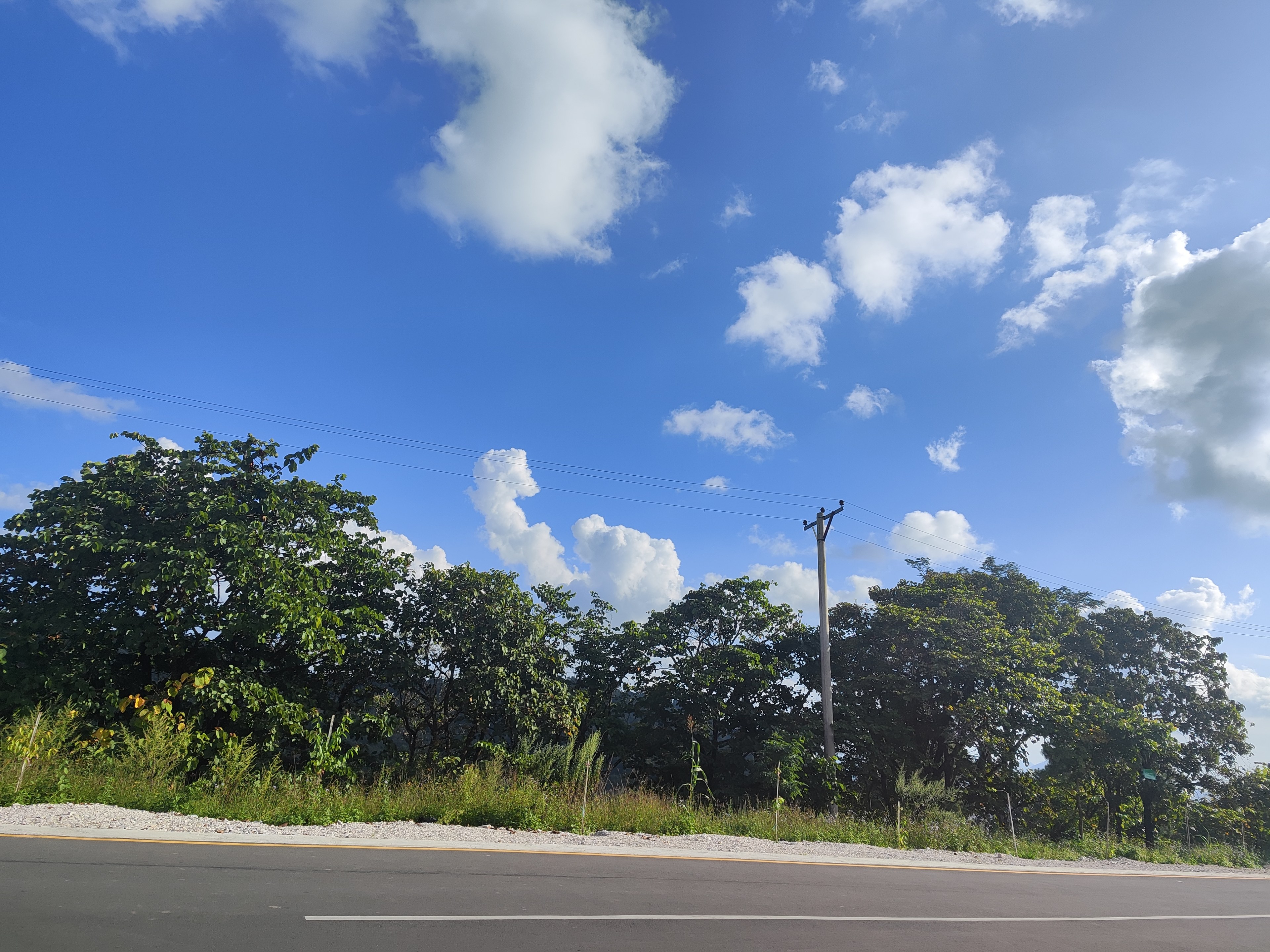Fluffy white clouds along the roadside