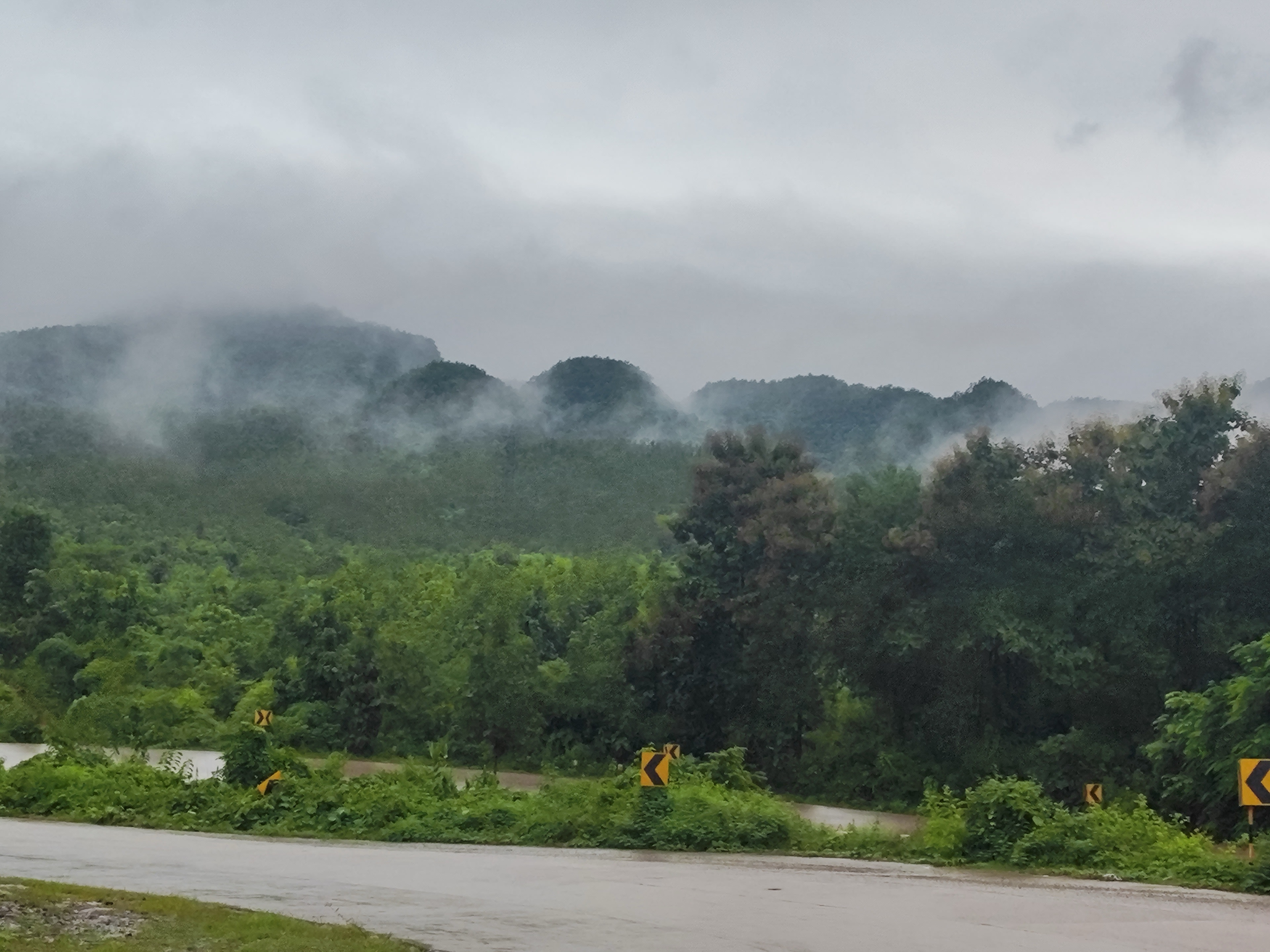 Fog rolling over the hillside