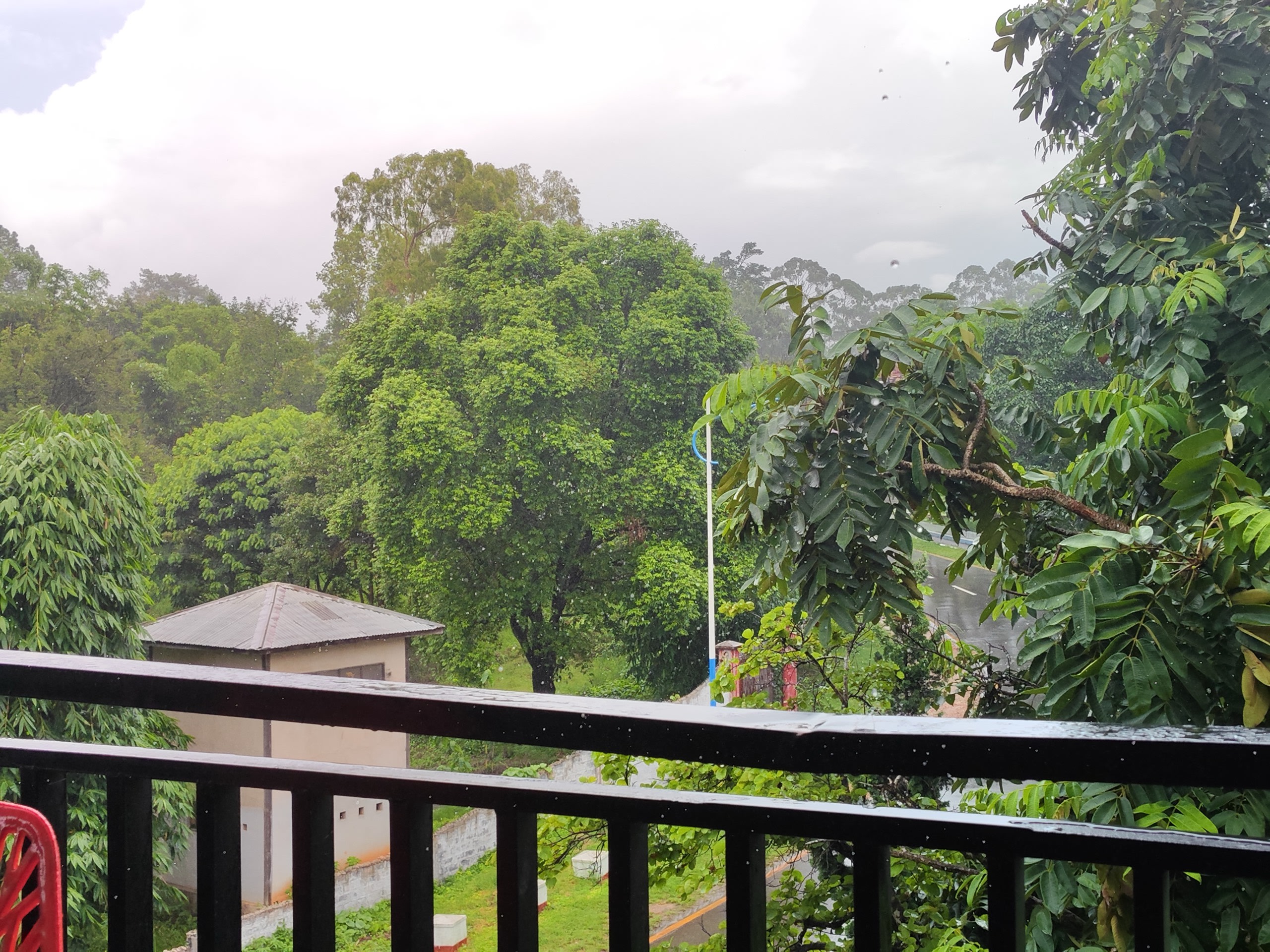 Rainy afternoon view from the balcony