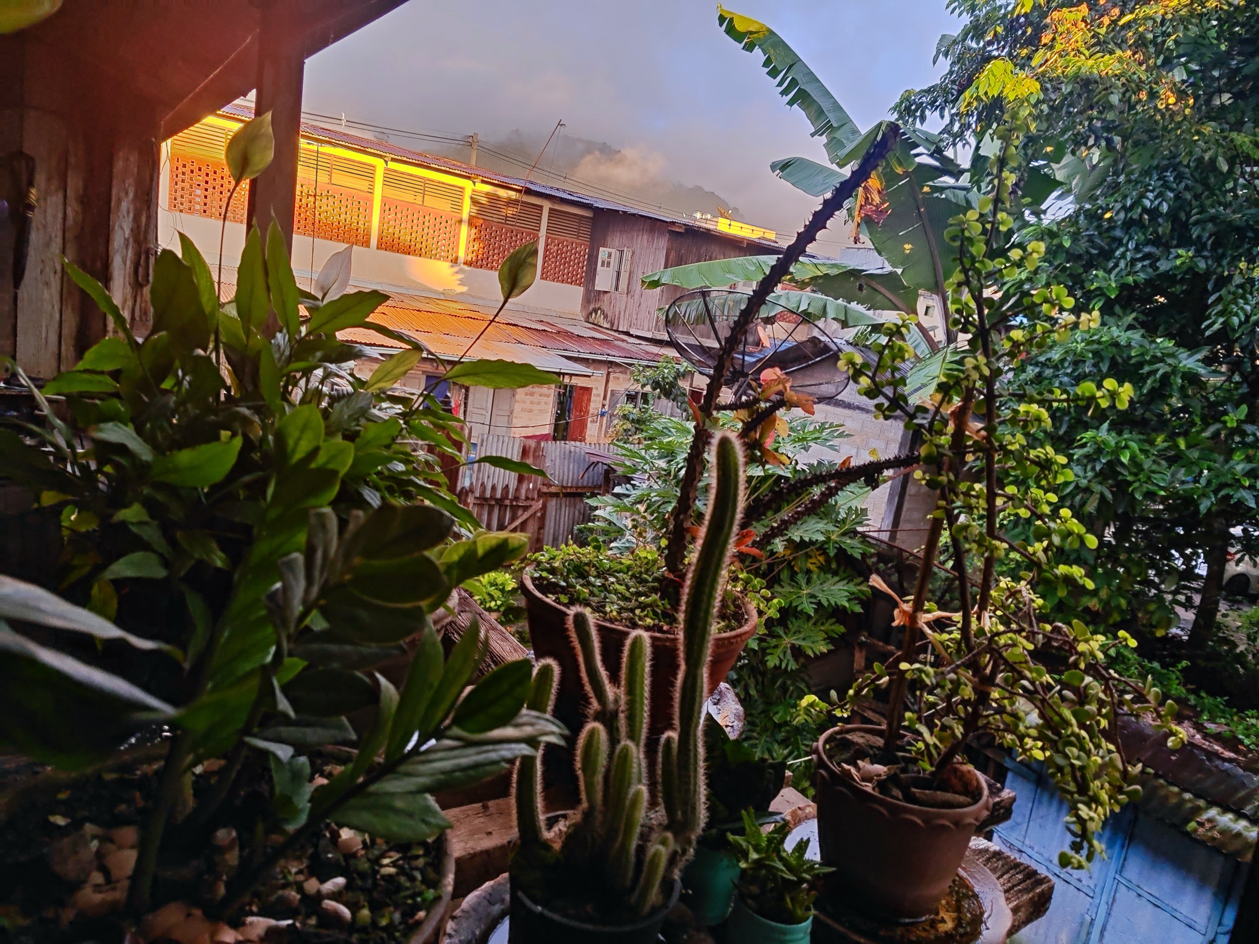 Evening golden glow across neighborhood roofs