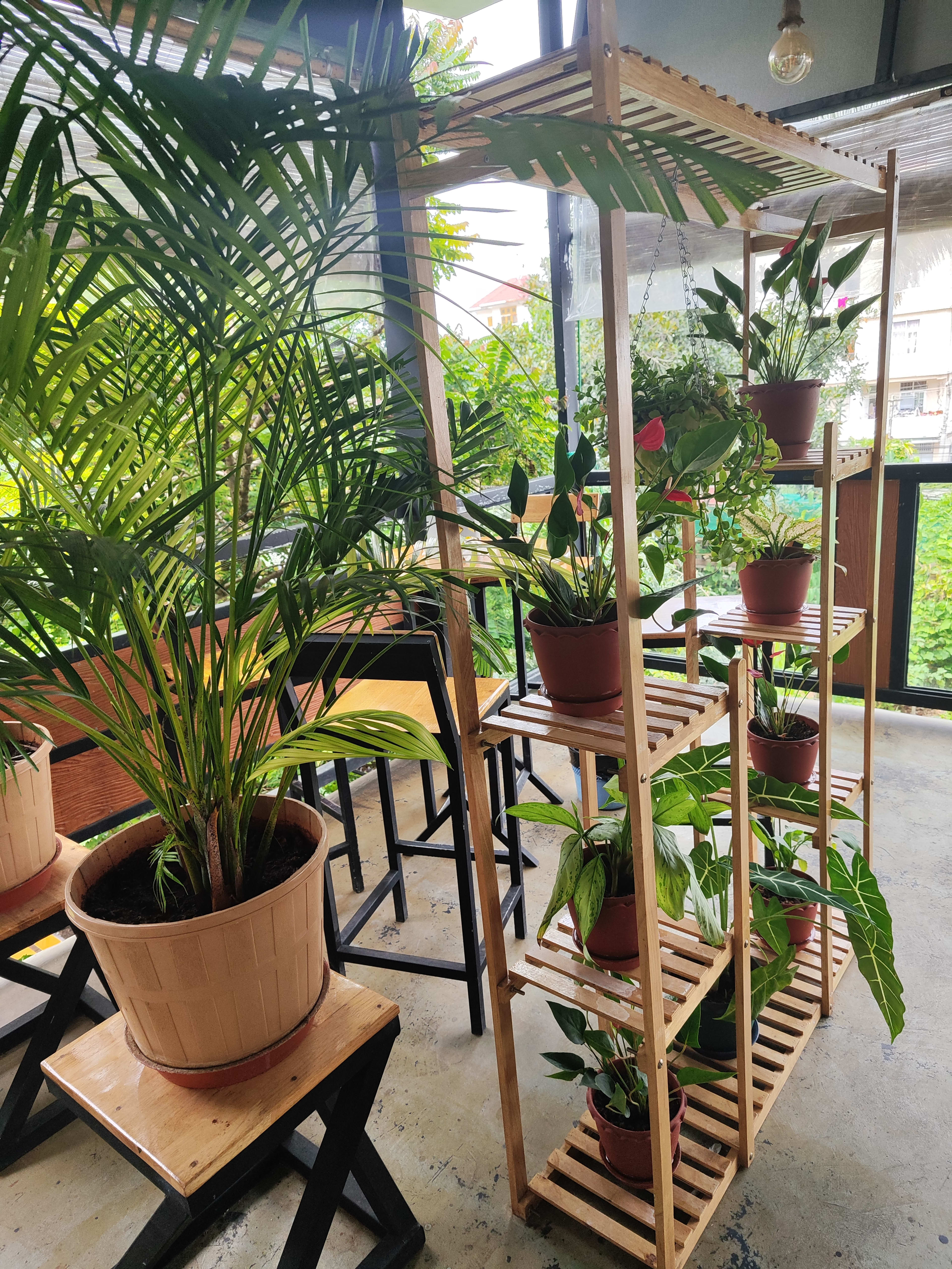 plants_shelf_at_cafe_garden