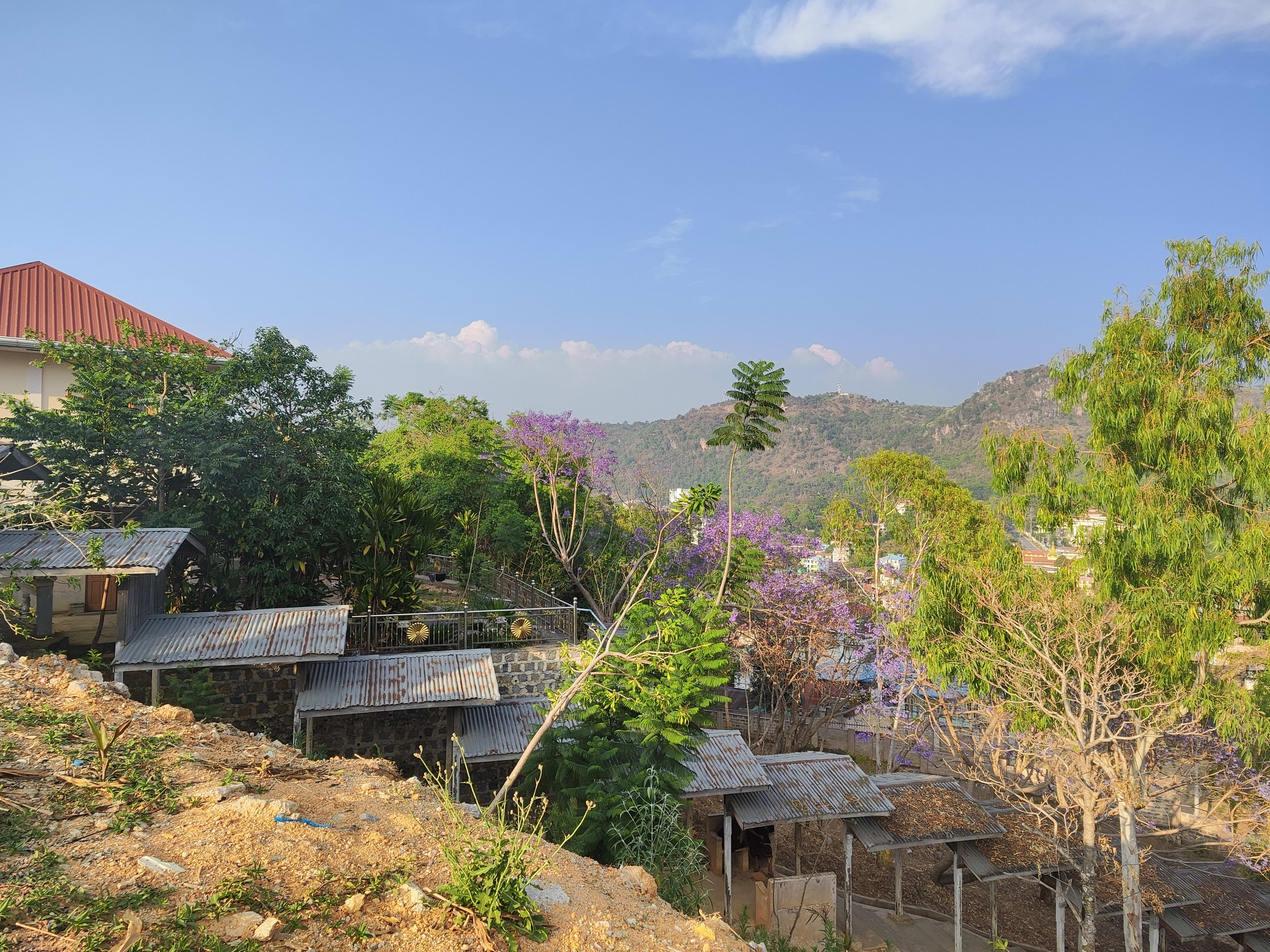 view_beside_lwan_zayti