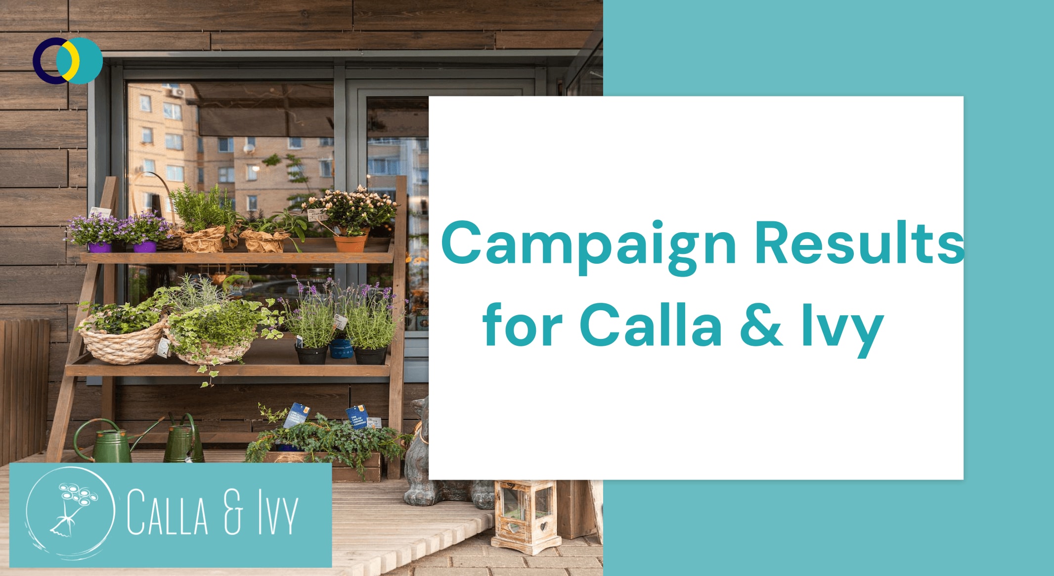 Calla & Ivy Digital Marketing Campaign Report