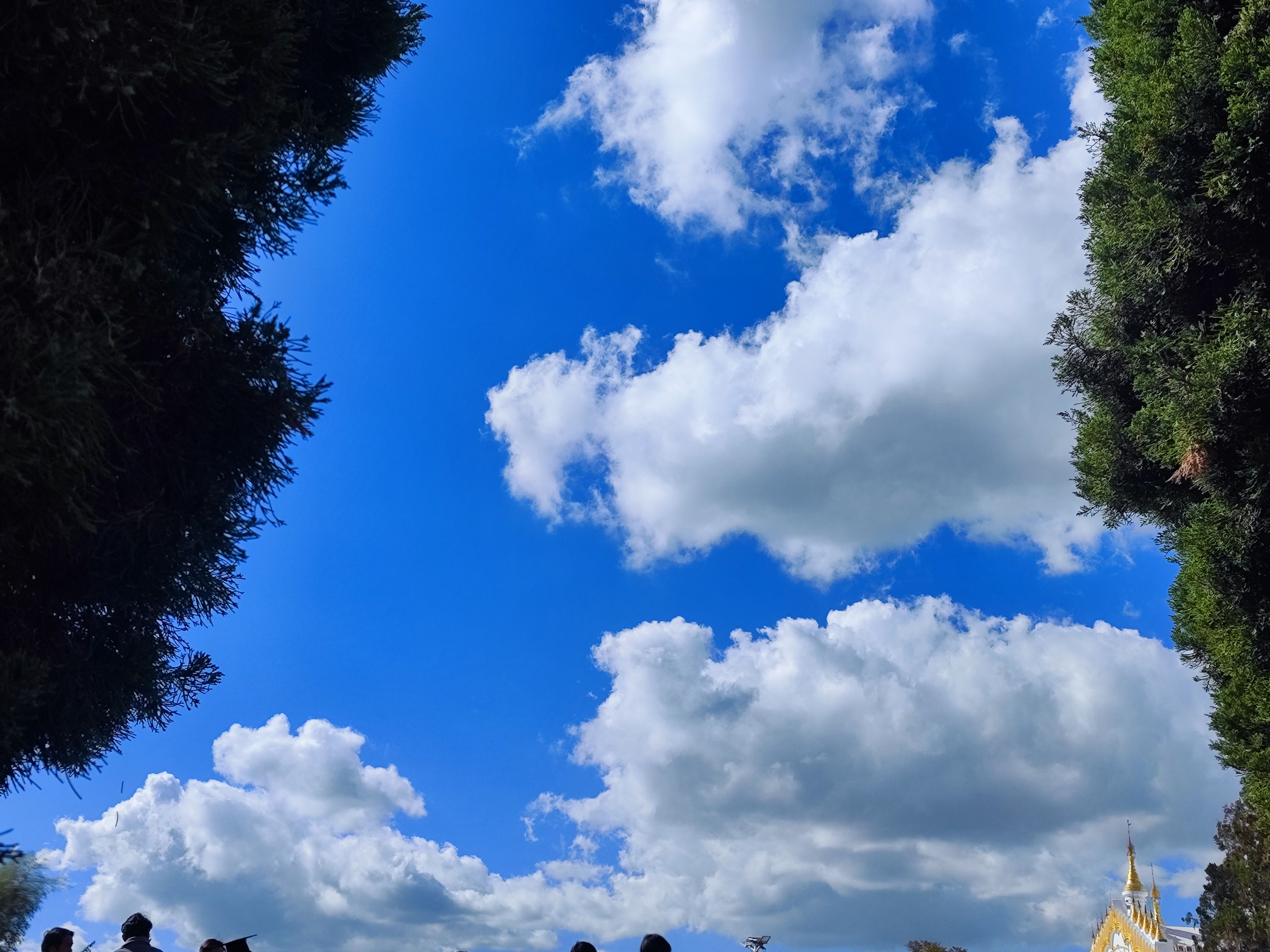 cloud_scene_through_my_house