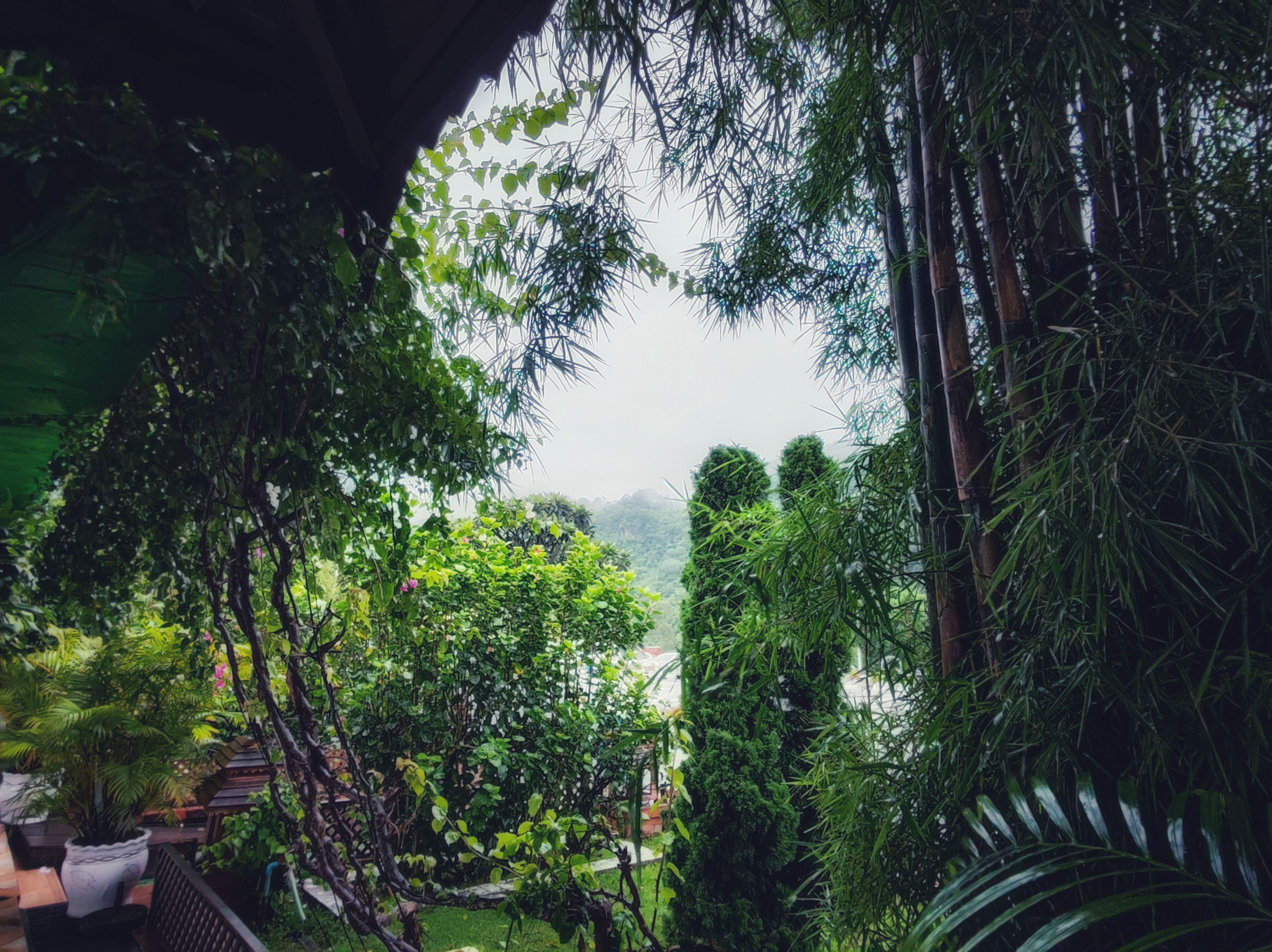 rainy_scene_at_sulamuni
