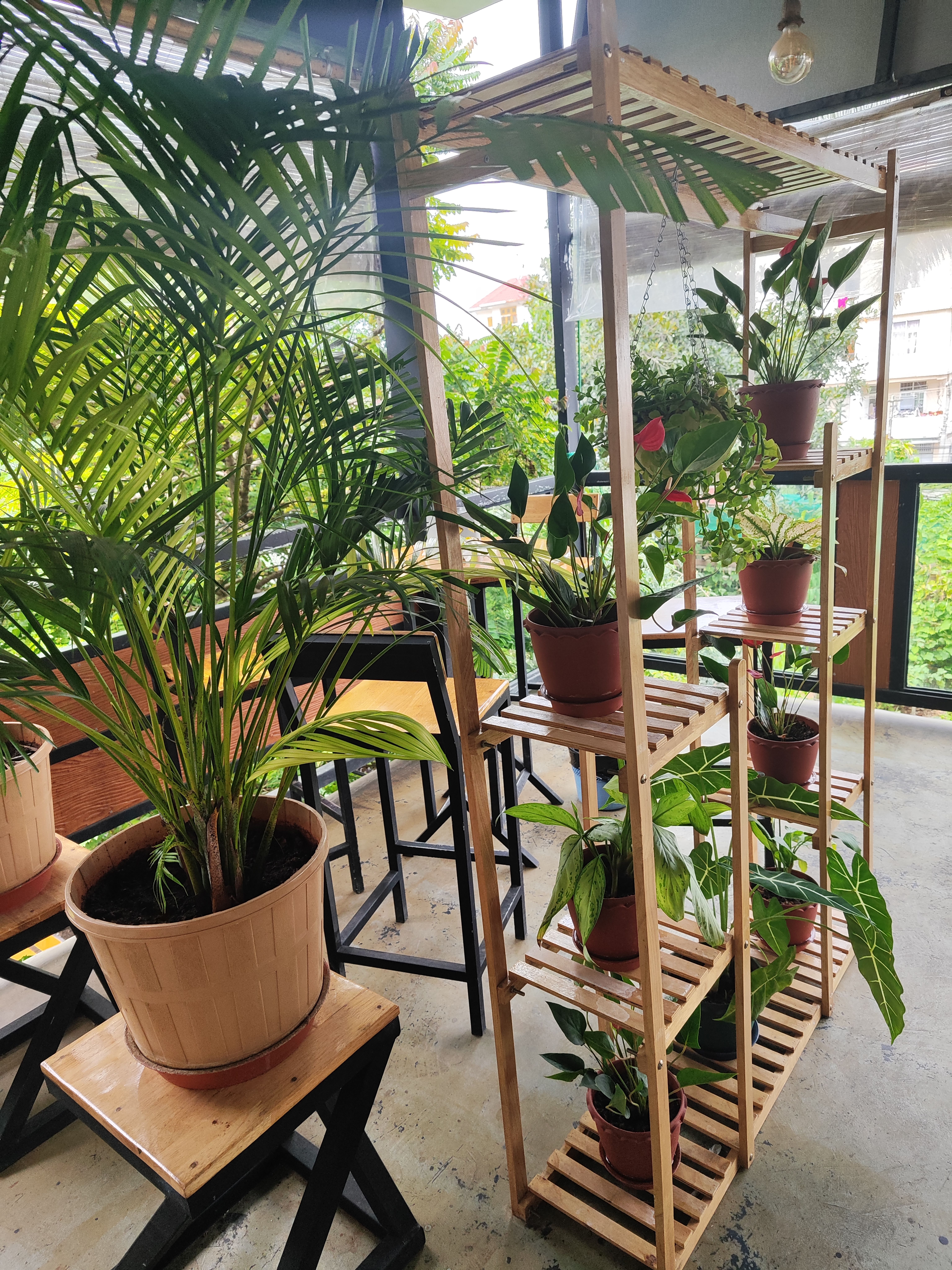 plants_shelf_at_cafe_garden