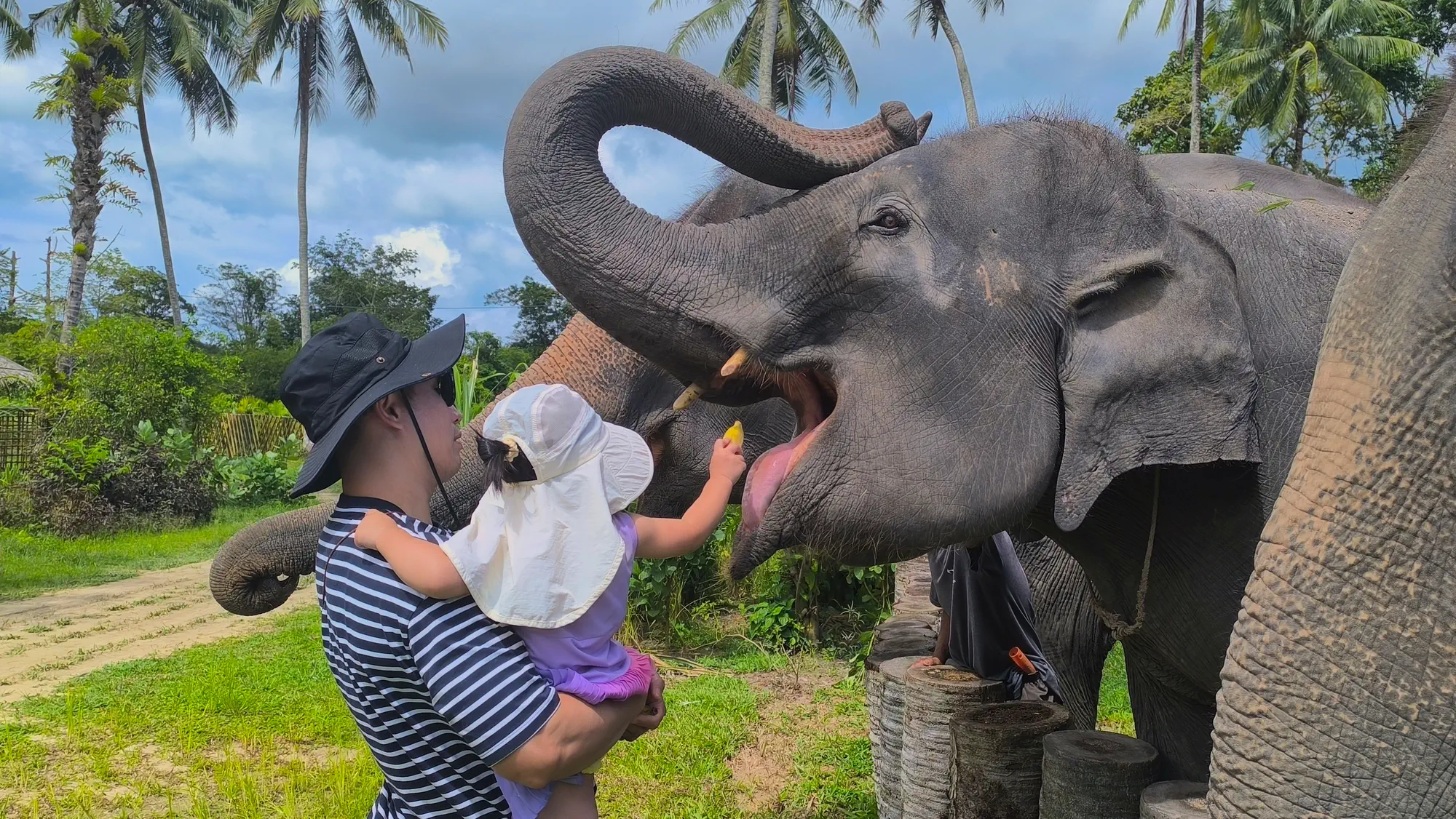 People feeding an elephant.