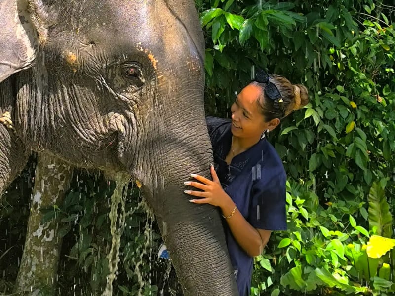 A visitor joyfully splashing water on an elephant, an authentic elephant experience Phuket is famous for.