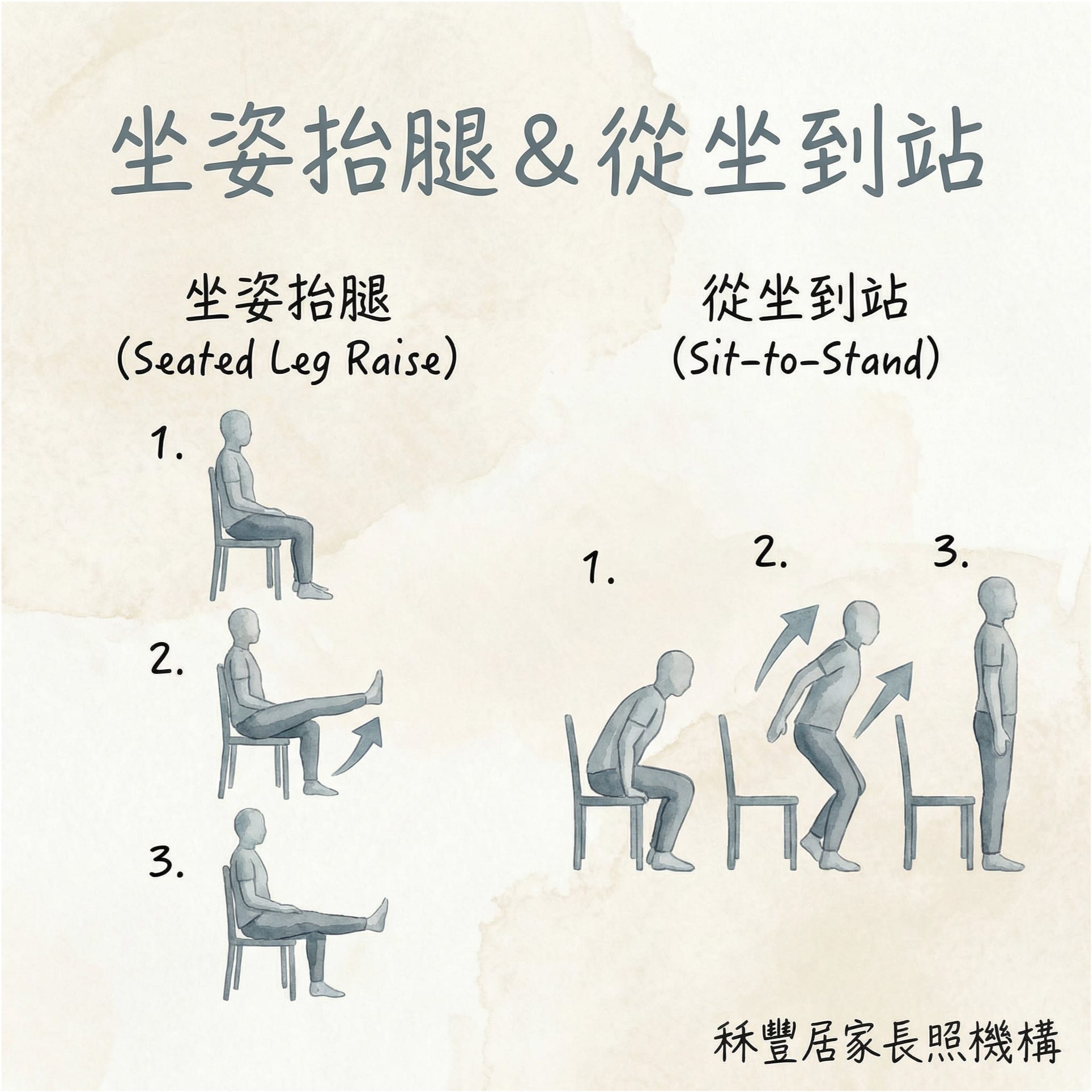 居家運動，預防肌少症 - 圖片 3