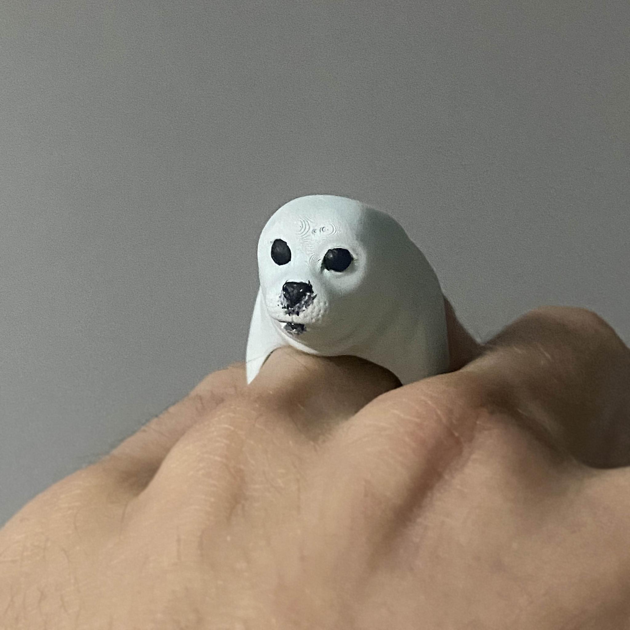 Foka