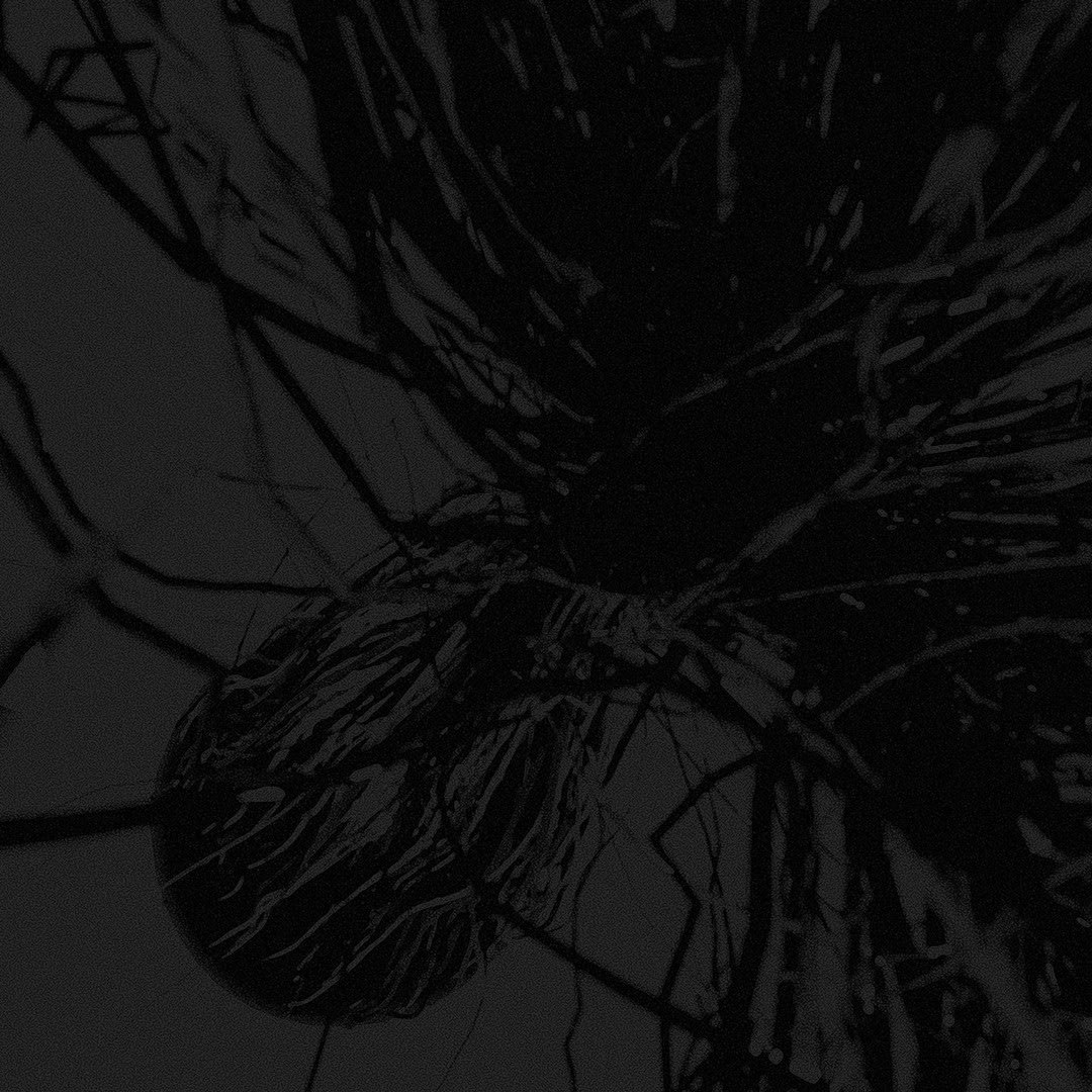 render