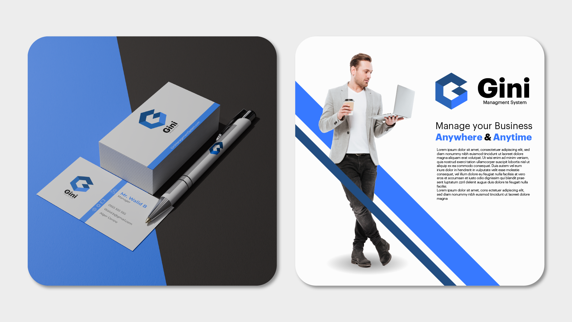 Gini Digital assets