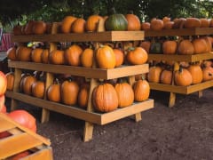 Как правильно хранить осенний урожай