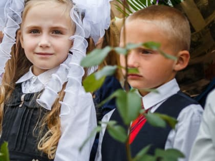 Запись детей в первые классы не по месту регистрации в Подмосковье продлится до 5 сентября