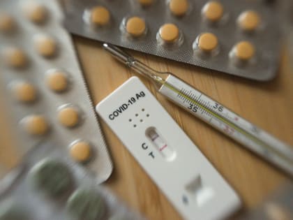 Еще 293 пациента выздоровели после Covid‑19 в Подмосковье