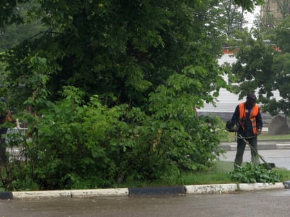 В Рузском округе косят траву и борщевик