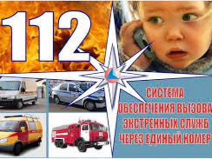 В Рузском округе оперативные службы отработали более 1700 звонков