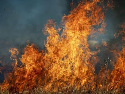 В Севастополе 8 человек эвакуировали из горящего дома