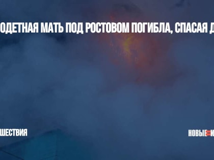 Многодетная мать под Ростовом погибла, спасая детей