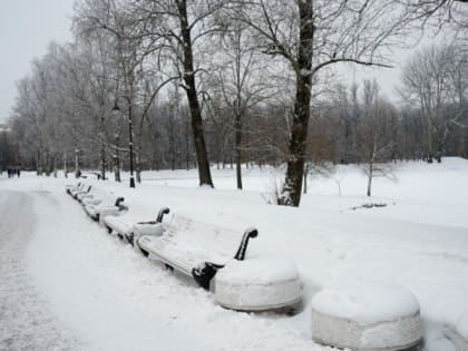 Метель и до минус двух градусов ожидается в Московском регионе во вторник