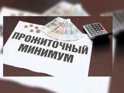 Величина прожиточного минимума на 2023 год в Московской области