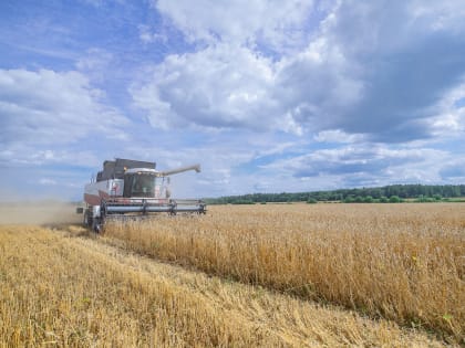 АО «Воскресенское» провело культуртехнические работы и ввело в оборот данный участок