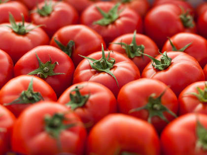 Перечислены овощи, помогающие перенести жару