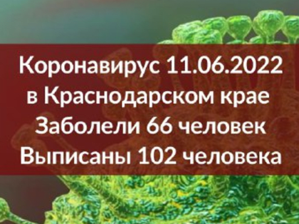 Еще 66 жителей Краснодарского края заразились коронавирусом