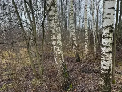 Конференция по конкурентной политике в Подмосковье
