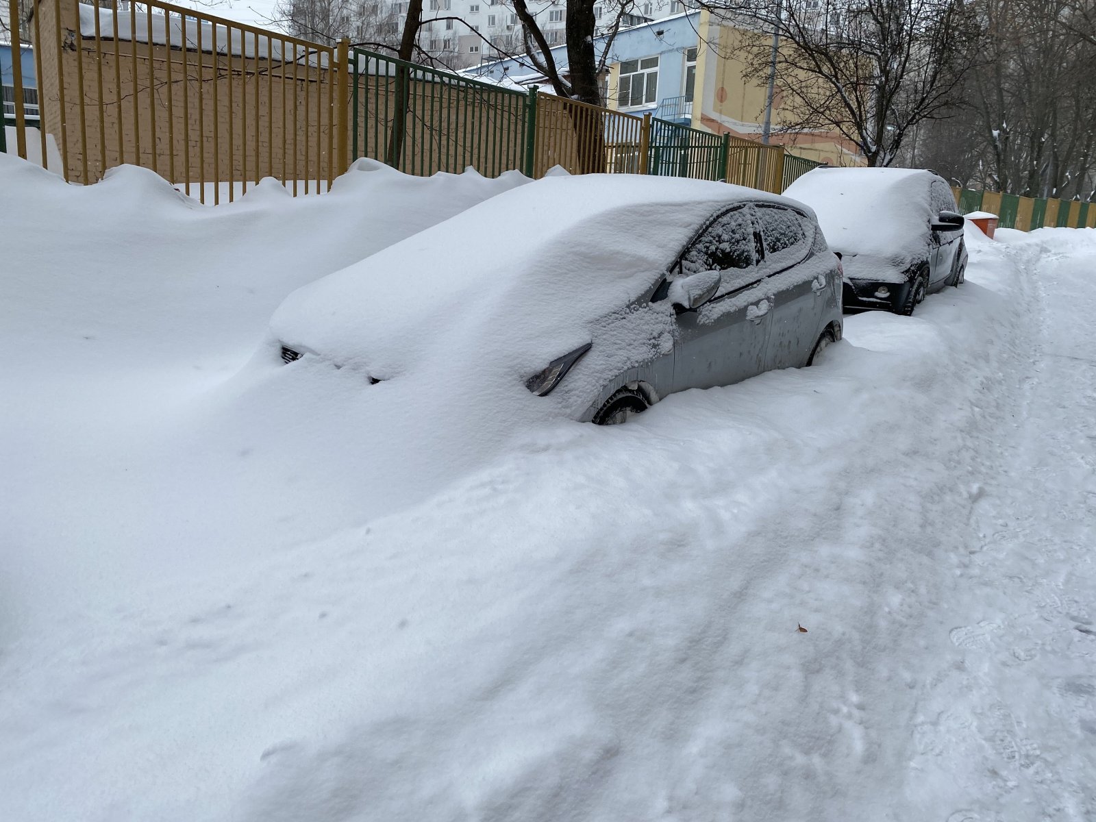 Снежный покров в подмосковье на сегодня