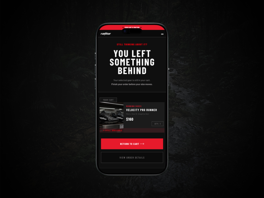 Raptor Athletics — Cart Recovery Email