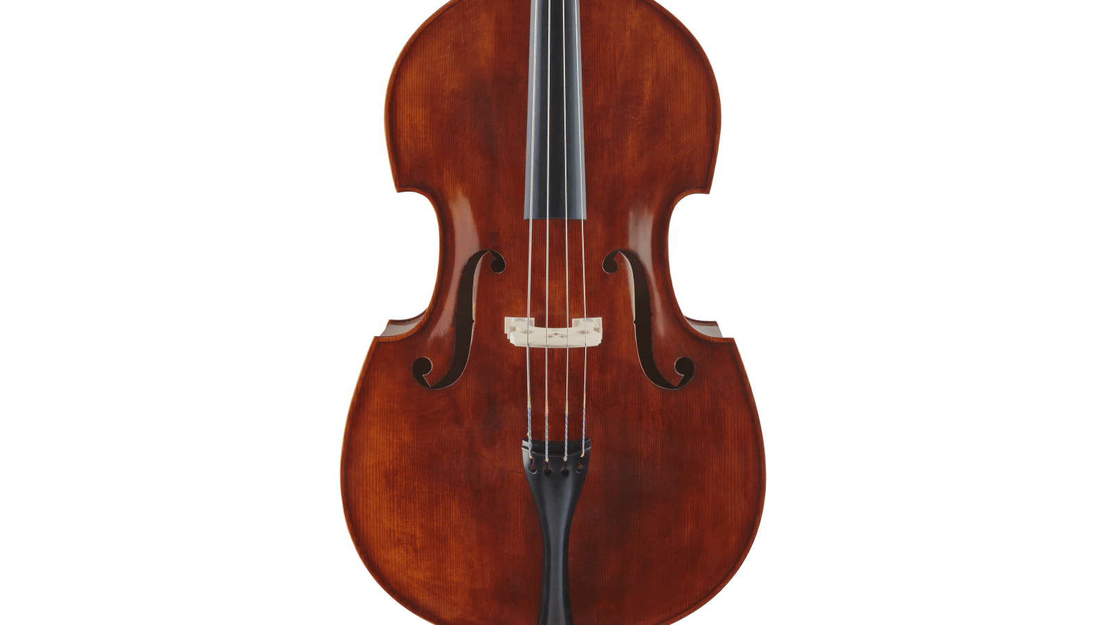 Knilling’s Performance Bass Models