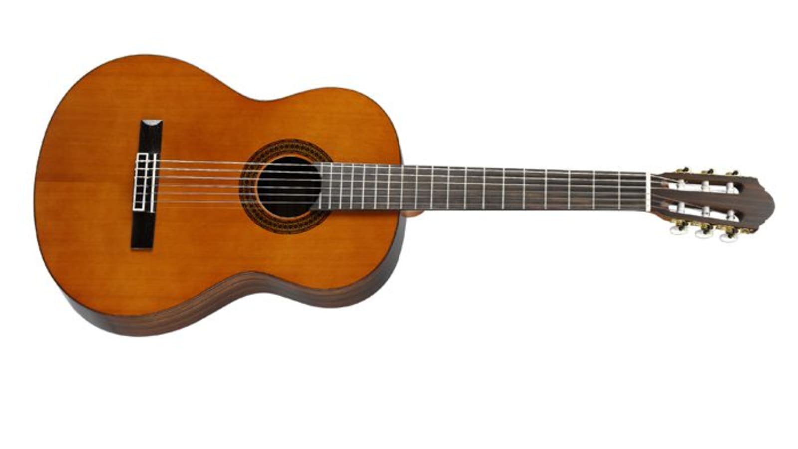 Perfecting the Sustainable Guitar