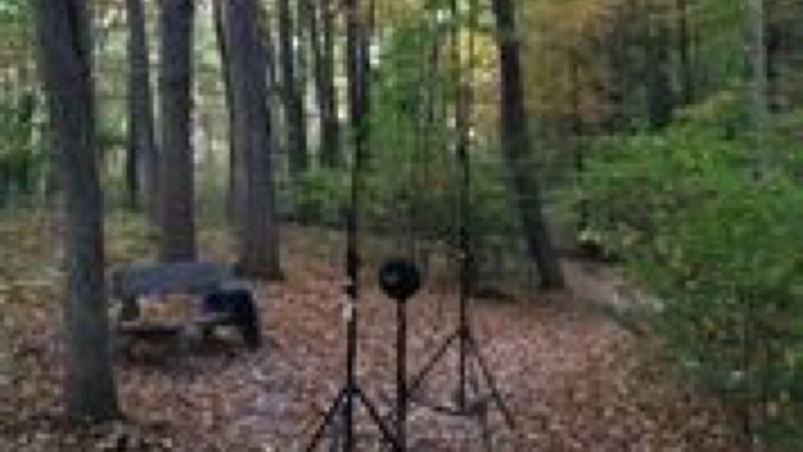 DPA Microphones Give Voice to New Exhibit at LDS Church History Museum