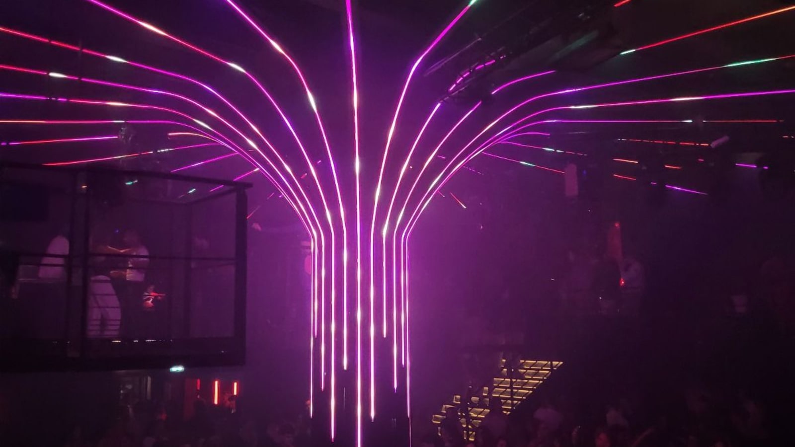 Synapse Audiovisuel and CHAUVET Professional Cultivate Beauty with 809 Social Club Tree