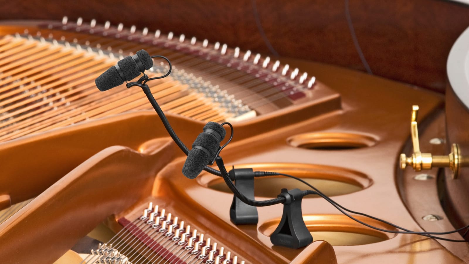 DPA Launching New Wearable Tech at PL+S