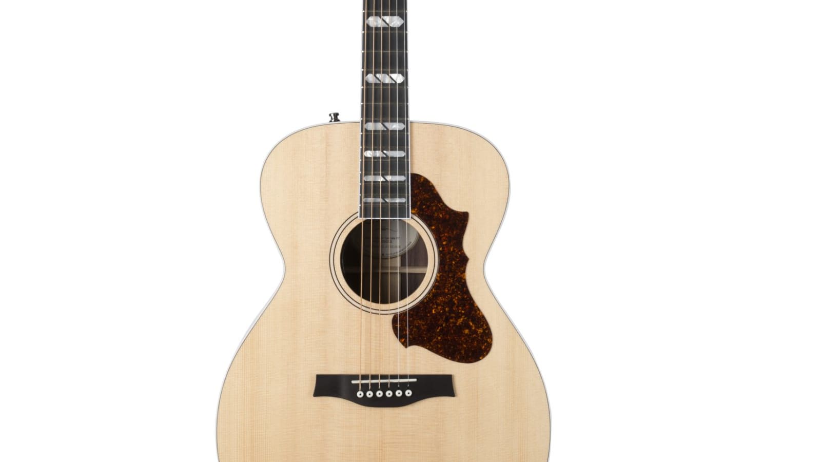 Fairmount CH LTD Rosewood Acoustic Guitar from Godin