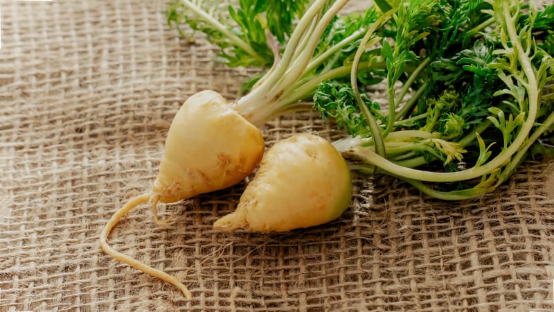 Maca Root