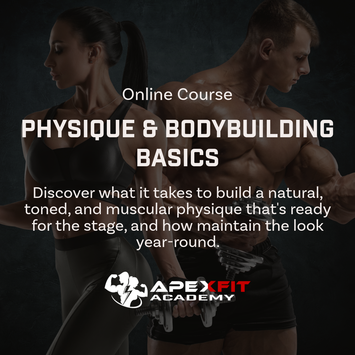 Physique & Bodybuilding Basics