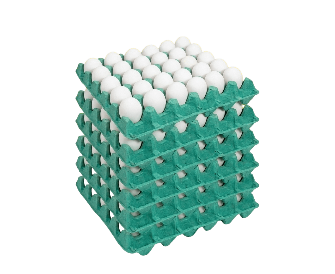 Ovos brancos à granel