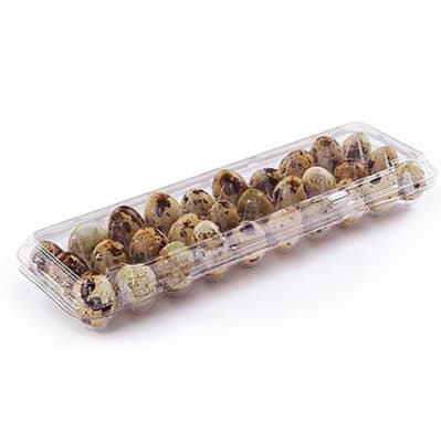 Ovos de codorna