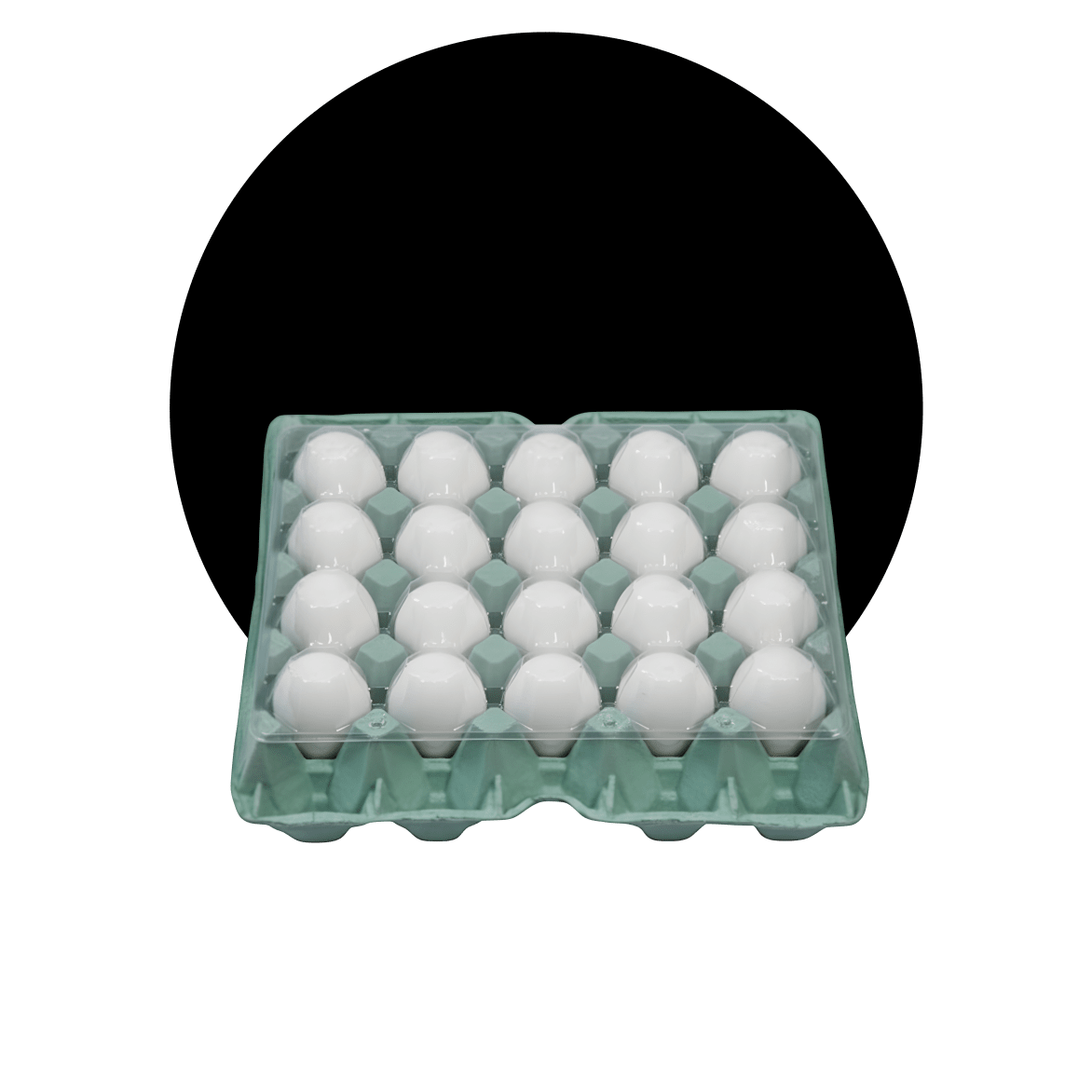Ovos brancos embalados