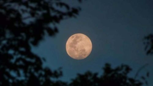 Penúltima superlua do ano brilhará no céu nesta quarta-feira e poderá ser vista em todo o país