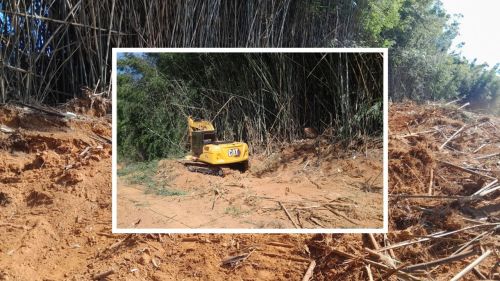 Escavadeira é apreendida após supressão ilegal de vegetação nativa em Espírito Santo do Pinhal