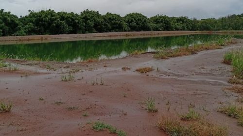 Construção de tanque em área protegida resulta em multa e embargo em Casa Branca