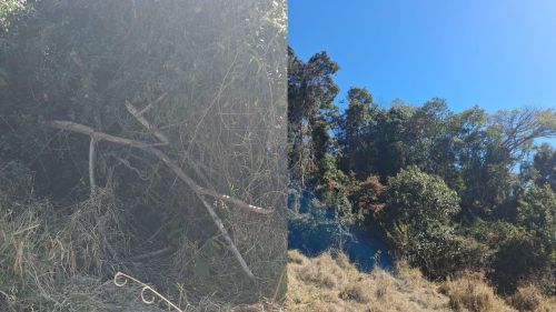 POLÍCIA MILITAR AMBIENTAL APLICA MULTA POR DESTRUIÇÃO DE VEGETAÇÃO NATIVA EM RESERVA LEGAL EM ÁGUAS DA PRATA